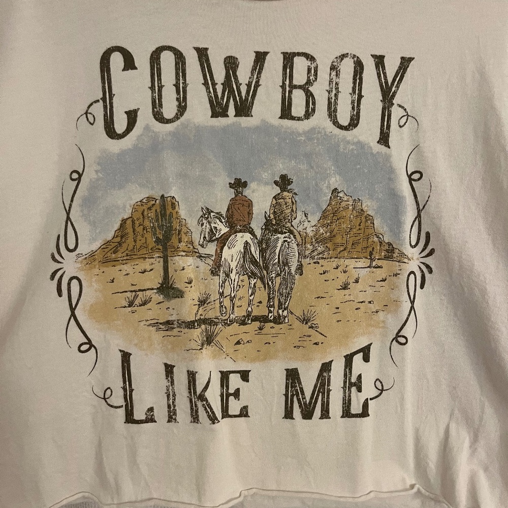 Cowboy Like Me Taylor Swift Lyrics Inspired Cropped Crop Tee Shirt